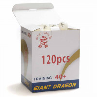 Мячи Giant Dragon Training Silver 1* New (120 шт, бел.) в коробке